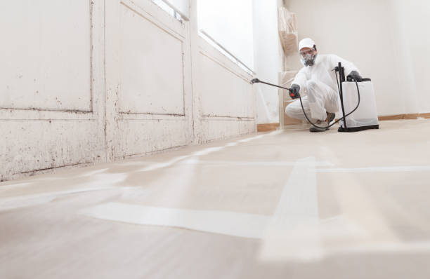 24/7 Emergency Basement Mold Remediation experts in Melrose Park, NY